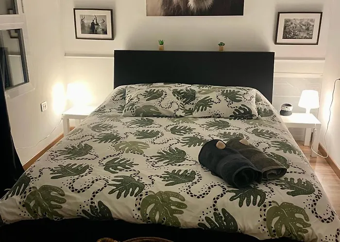 Lejlighed Chic&surf Dunes View Lumineux Et Vue Superbe ! *